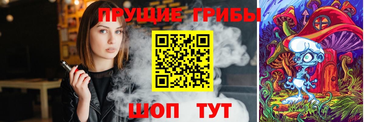 Псилоцибиновые грибы GOLDEN TEACHER  Вход с VPN  купить наркотик  Новотроицк  Псилоцибиновые грибы мицелий 